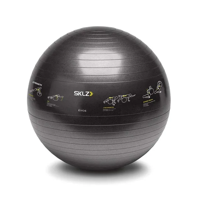 sklz-ballon-d-entra-nement-65-cm-avec-16-exercices-imprim-s-et-pompe-incluse image 1