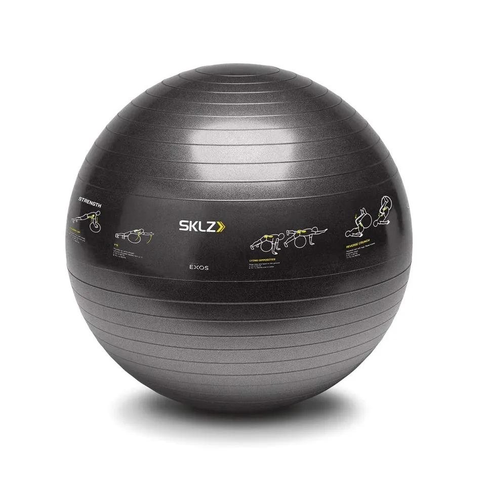 sklz-ballon-d-entra-nement-65-cm-avec-16-exercices-imprim-s-et-pompe-incluse image 1