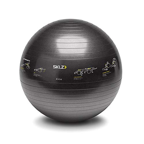 sklz-ballon-d-entra-nement-65-cm-avec-16-exercices-imprim-s-et-pompe-incluse image 6