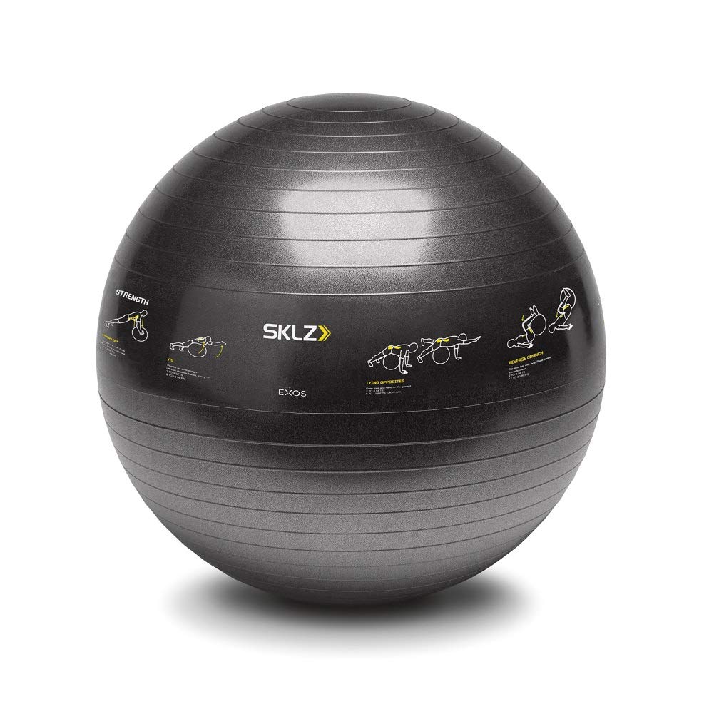 sklz-ballon-d-entra-nement-65-cm-avec-16-exercices-imprim-s-et-pompe-incluse image 1