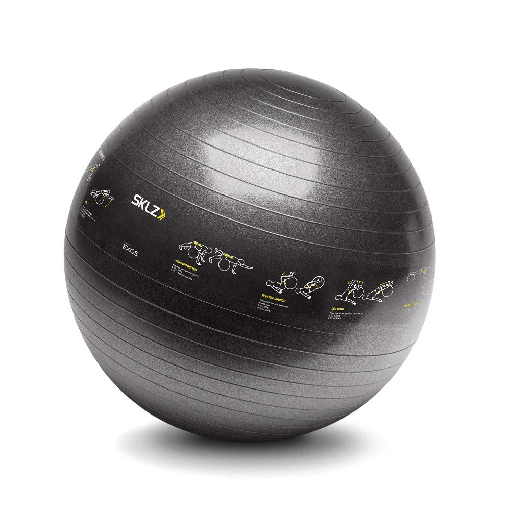 sklz-ballon-d-entra-nement-65-cm-avec-16-exercices-imprim-s-et-pompe-incluse image 2